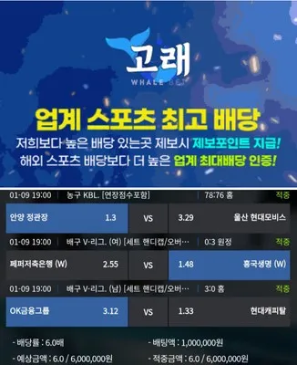 슈어맨 제보에 첨부된 이미지 1